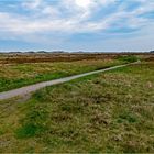 Landschaft hinter den Dünen