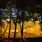 Landschaft Hochtaunus