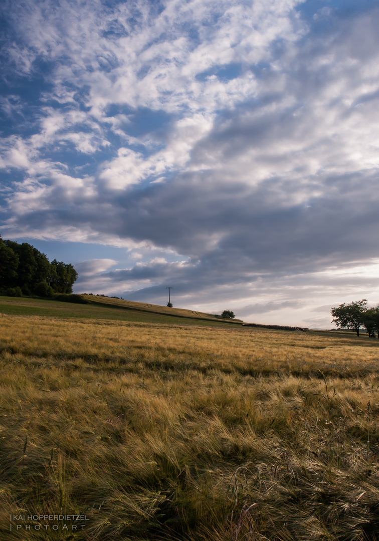 Landschaft I