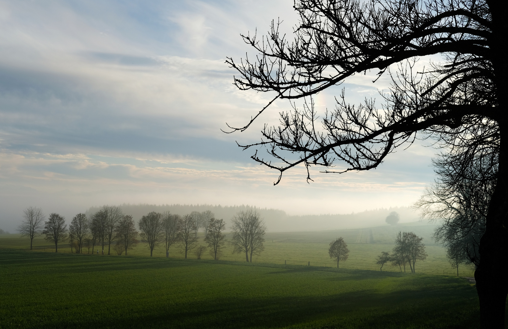 Landschaft im Abendlicht