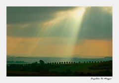 Landschaft im Abendlicht