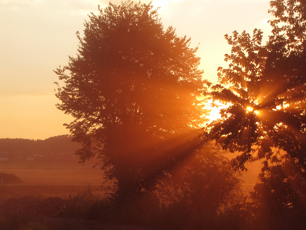 Landschaft im Abendlicht