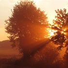 Landschaft im Abendlicht