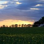 Landschaft im Abendlicht