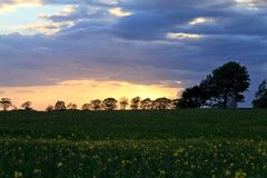 Landschaft im Abendlicht