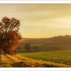 Landschaft im Abendlicht