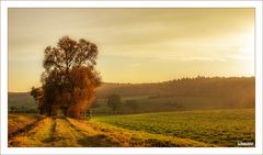 Landschaft im Abendlicht