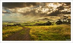 Landschaft im Abendlicht