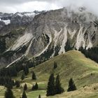 Landschaft im Allgäu