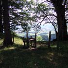 Landschaft im Allgäu