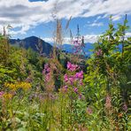 Landschaft im Allgäu