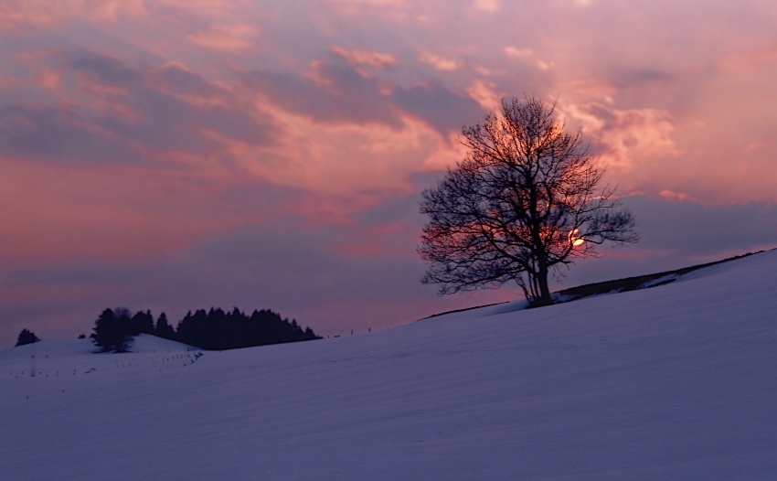 Landschaft im Allgäu