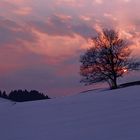 Landschaft im Allgäu