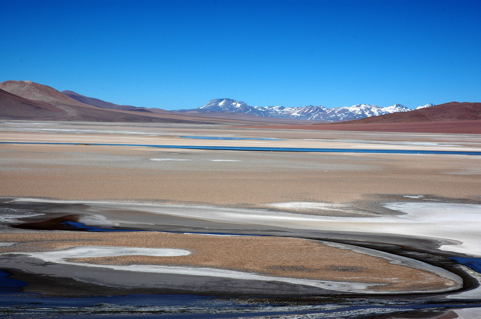 Landschaft im Altiplano von Chile