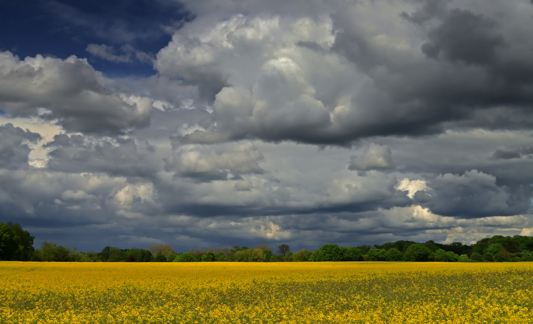 Landschaft im April (2) 