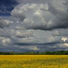 Landschaft im April (2) 