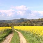 Landschaft im April 