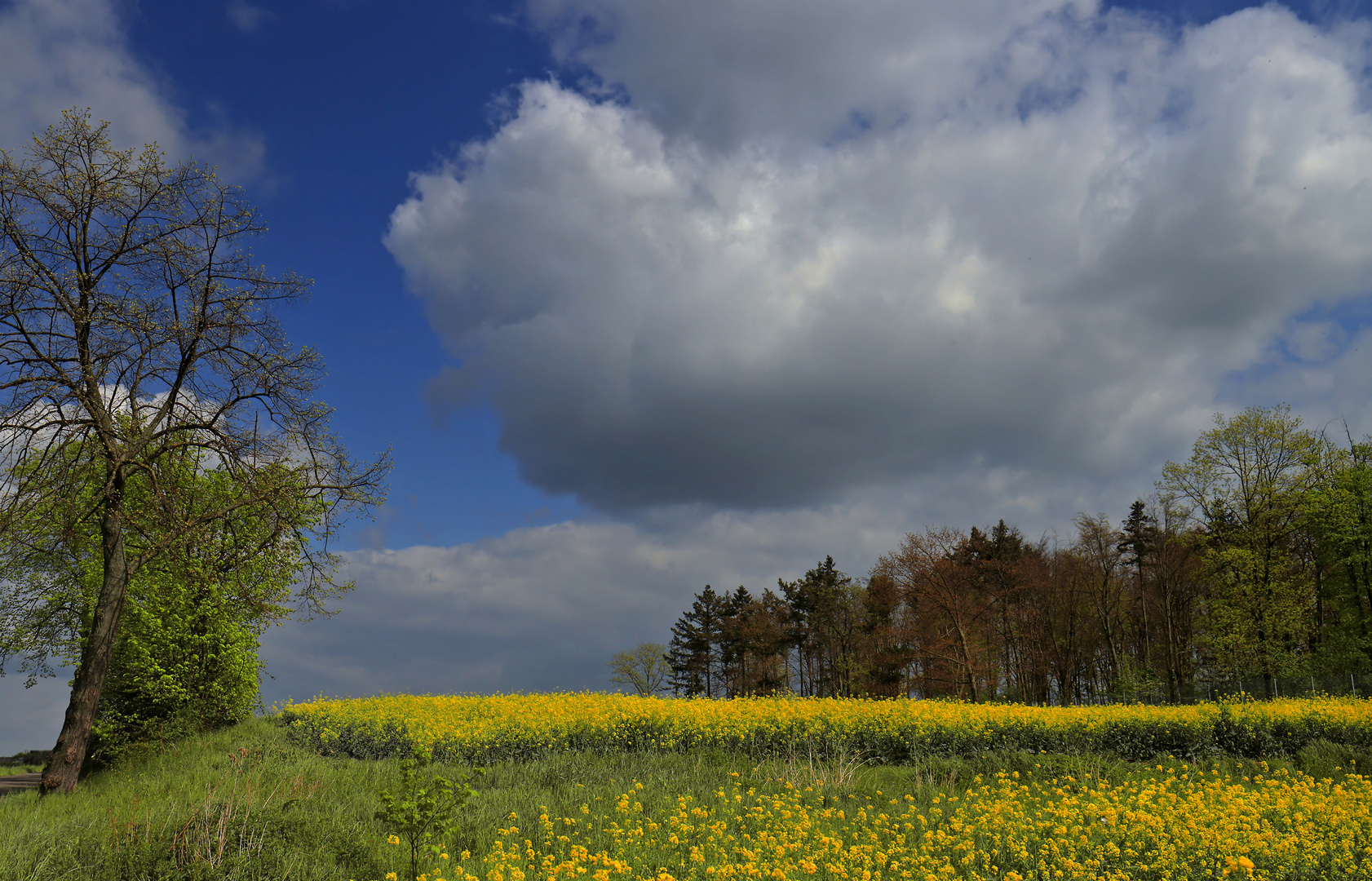 Landschaft im April