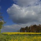 Landschaft im April