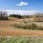 Landschaft im April