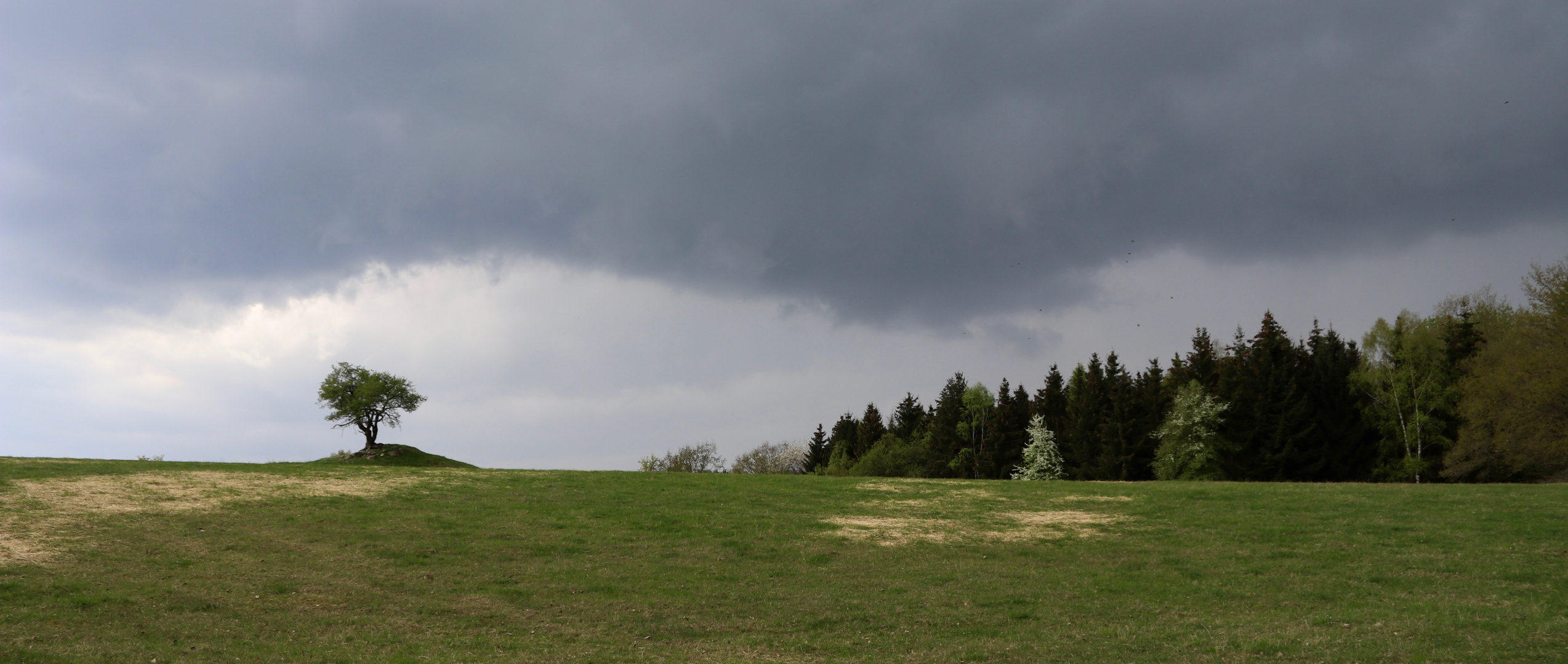 ... Landschaft im April ...