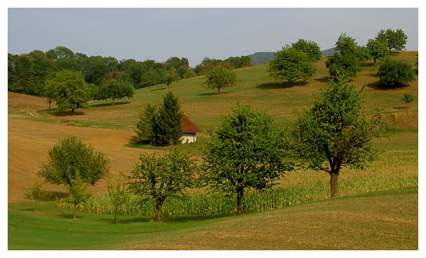 Landschaft im Baselbiet