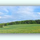 Landschaft im Blickfeld