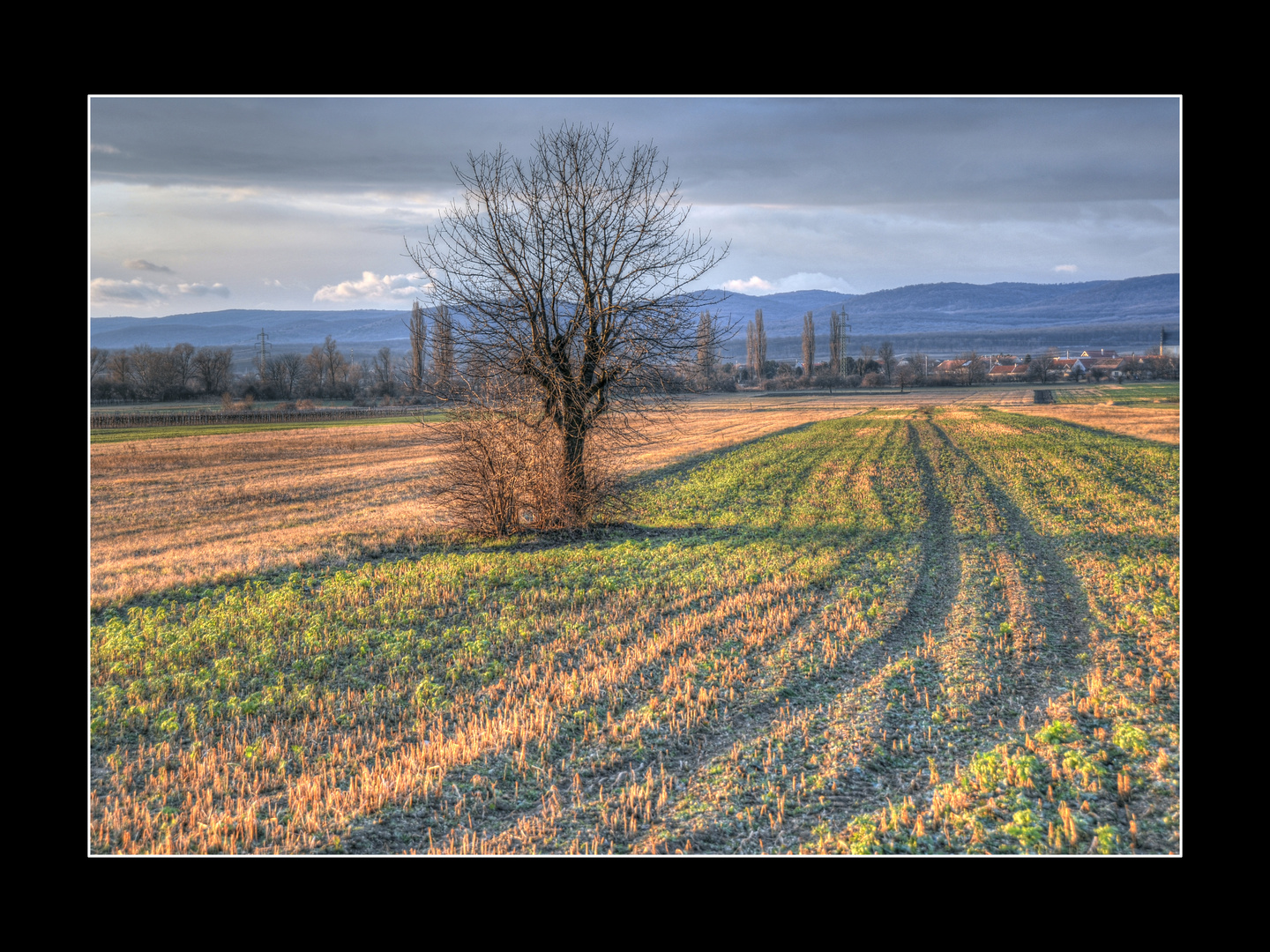 Landschaft im Burgenland 2