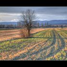 Landschaft im Burgenland 2