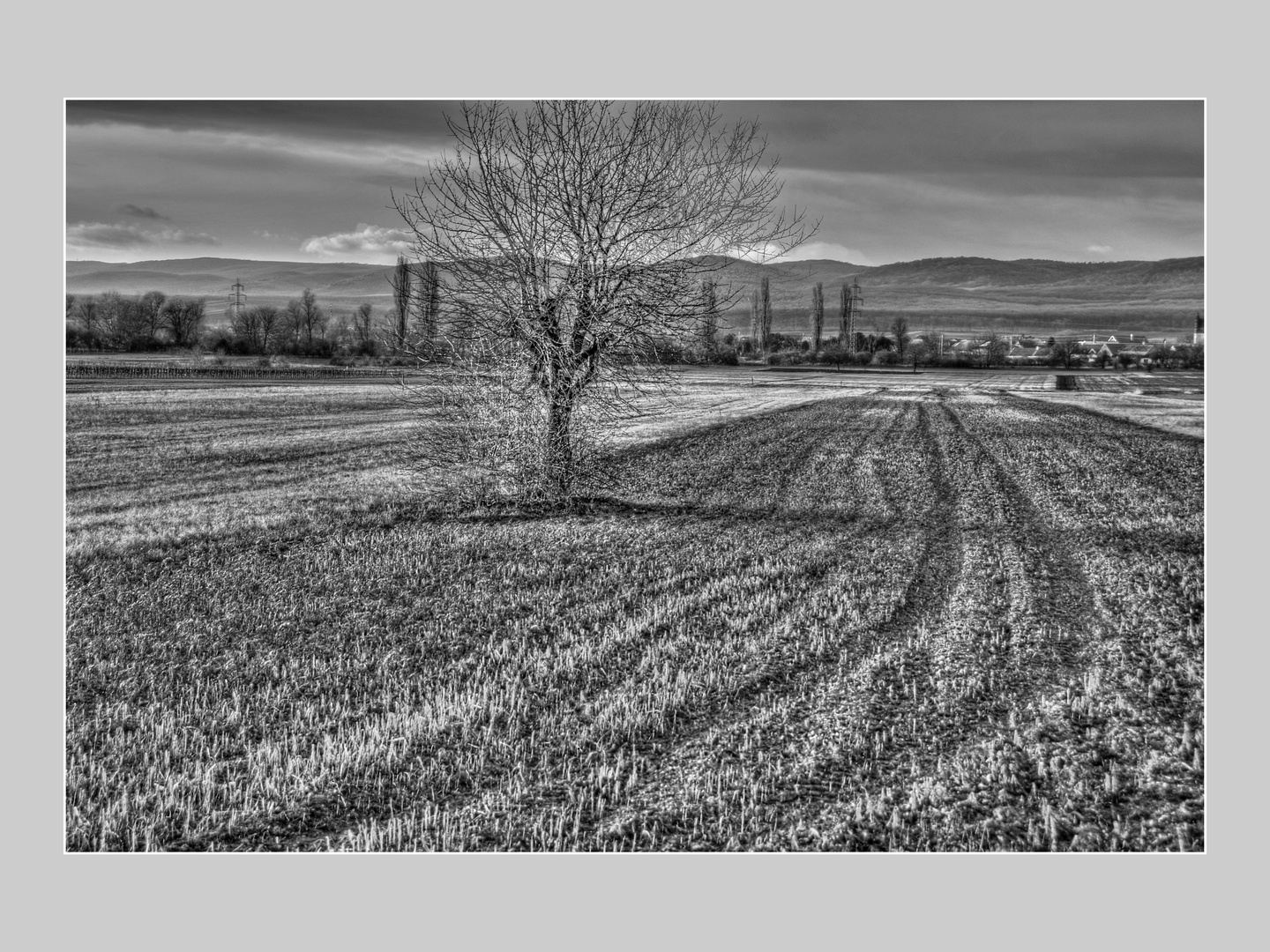 Landschaft im Burgenland Austria