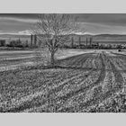 Landschaft im Burgenland Austria