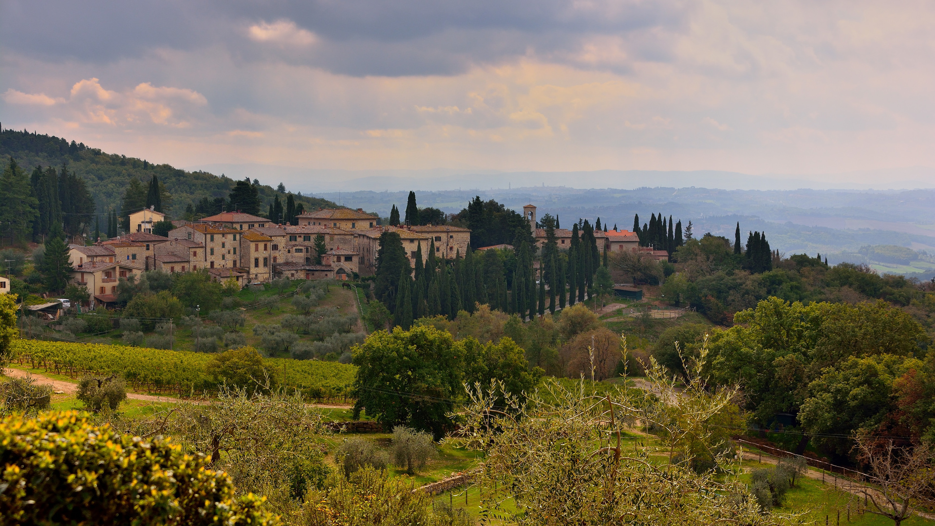 landschaft im chianti/toskana