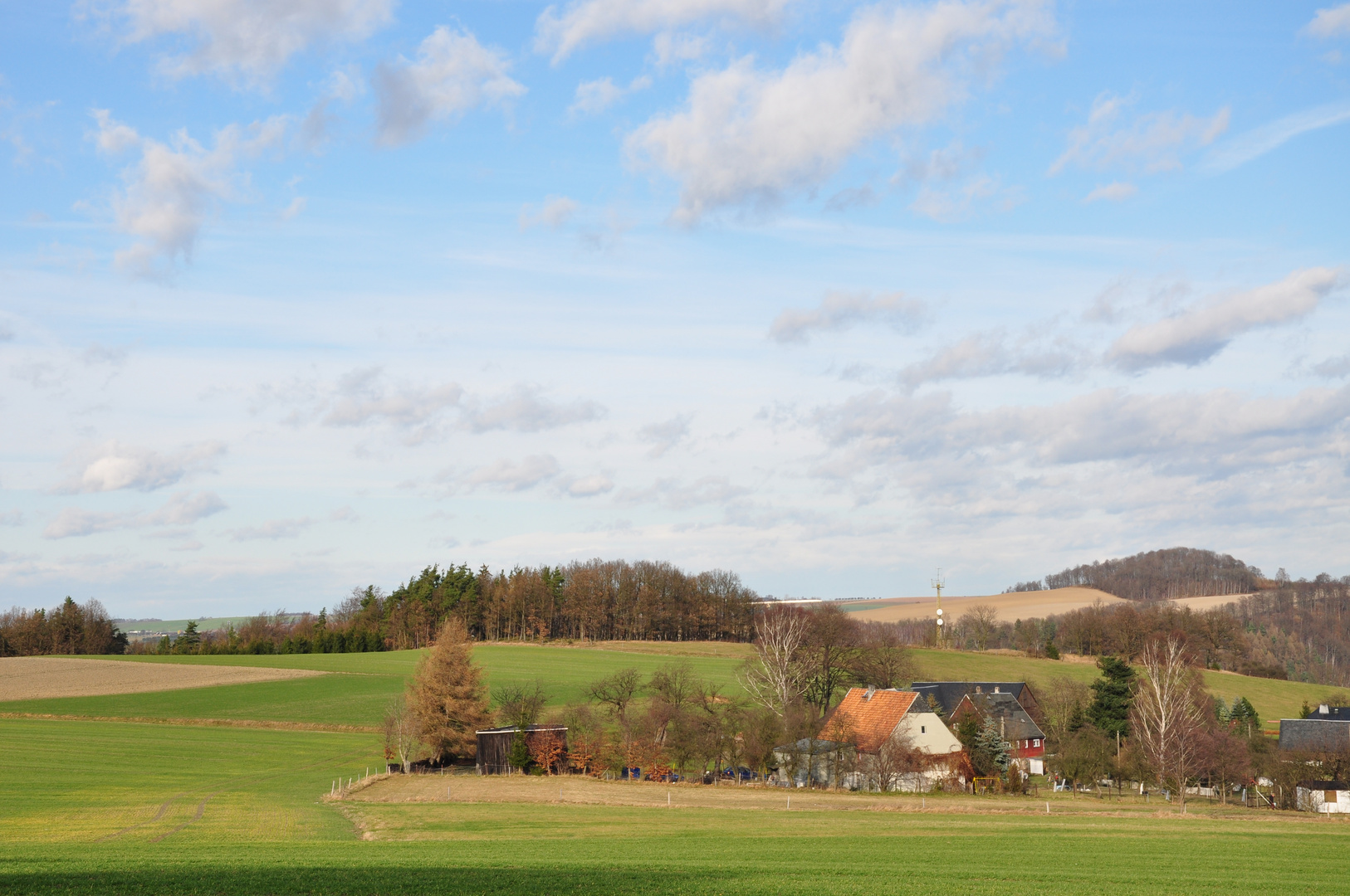 Landschaft im Dezember