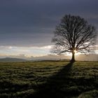 Landschaft im Dezemberlicht