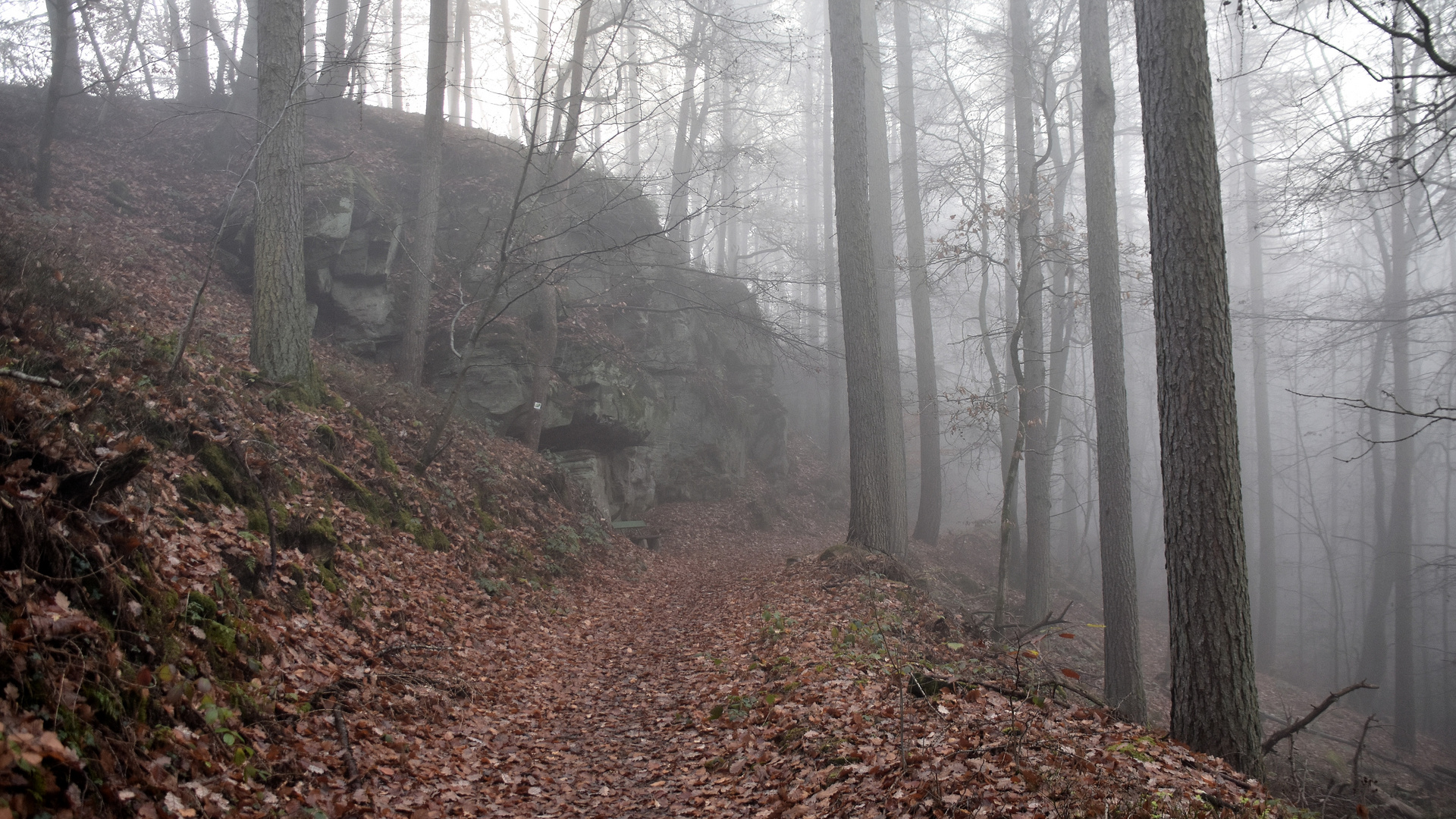 Landschaft im  Eifelgebirge (01)