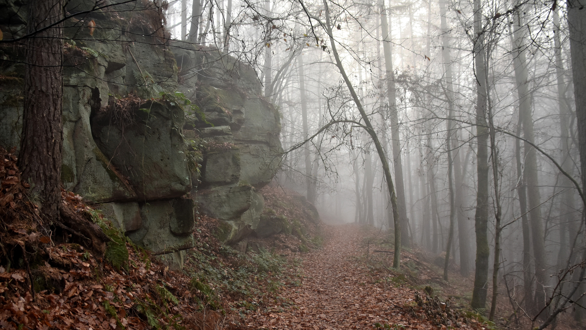 Landschaft im Eifelgebirge (02)