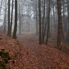 Landschaft im Eifelgebirge (03)