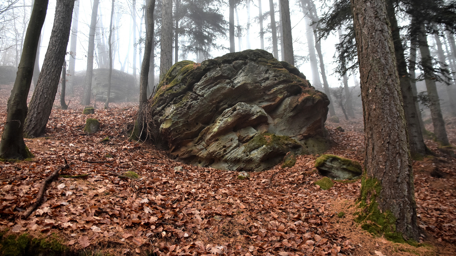 Landschaft im Eifelgebirge (04)