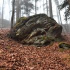 Landschaft im Eifelgebirge (04)