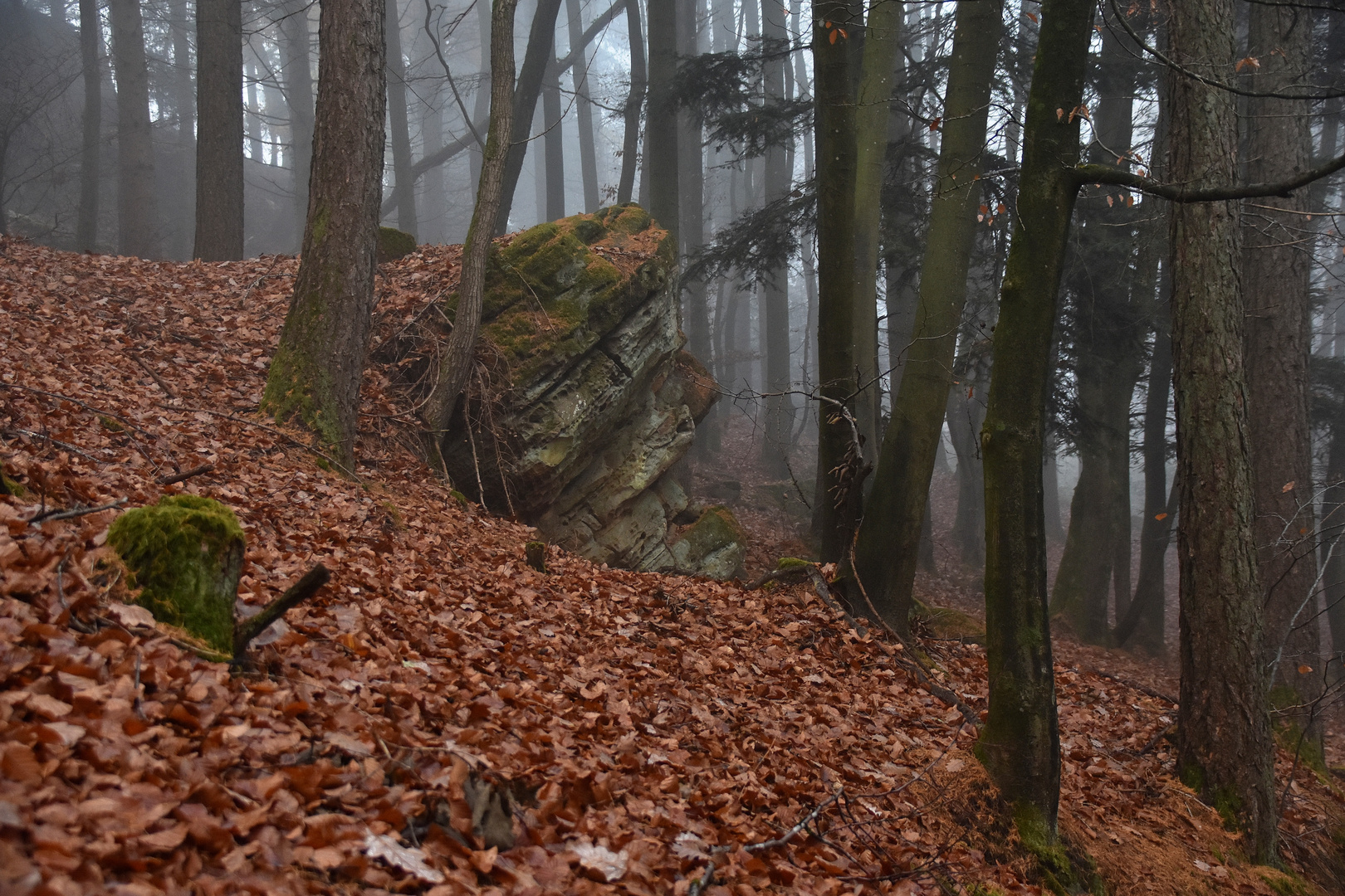 Landschaft im Eifelgebirge (05)