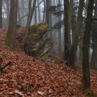 Landschaft im Eifelgebirge (05)