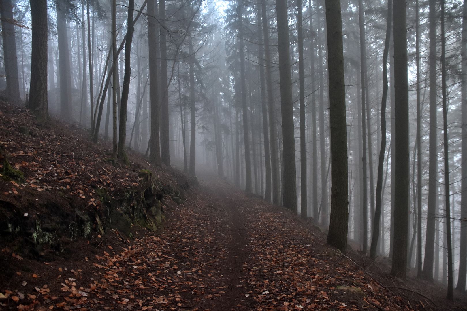 Landschaft im Eifelgebirge (06)