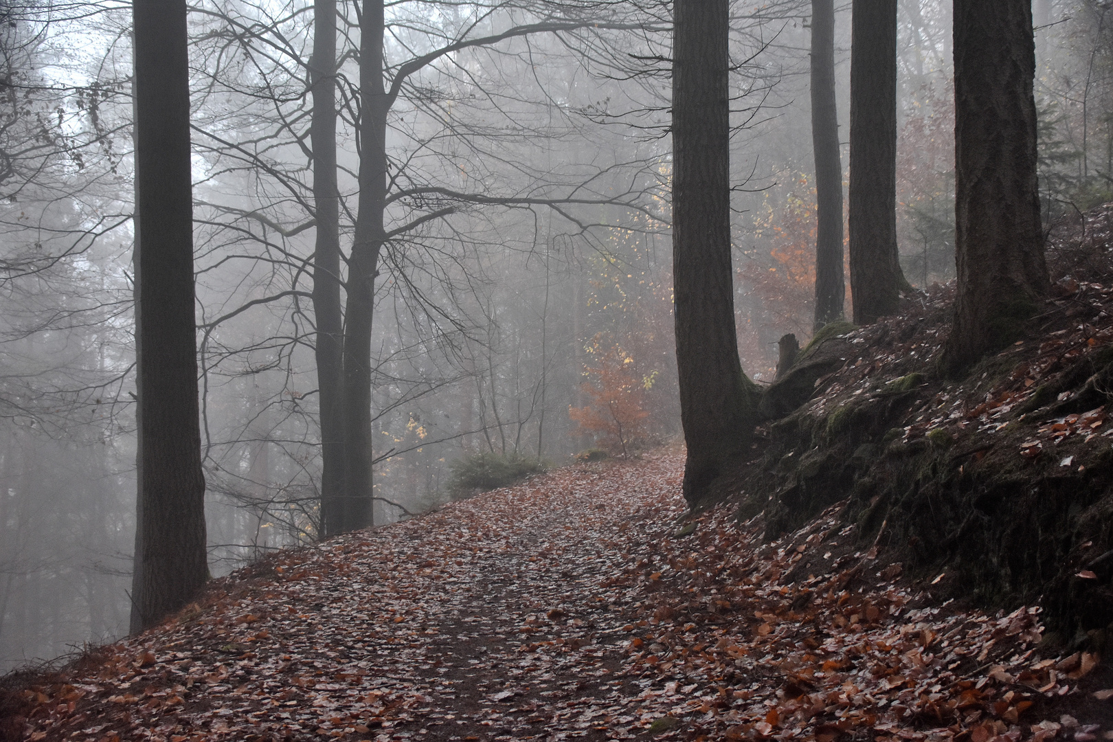 Landschaft im Eifelgebirge (07)