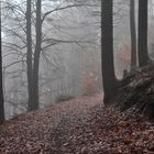 Landschaft im Eifelgebirge (07)