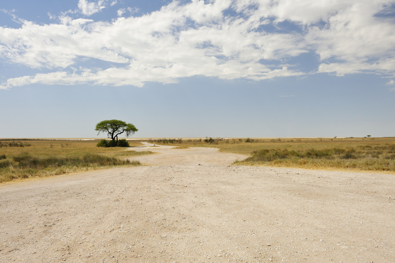 Landschaft im Etosha Nationalpark