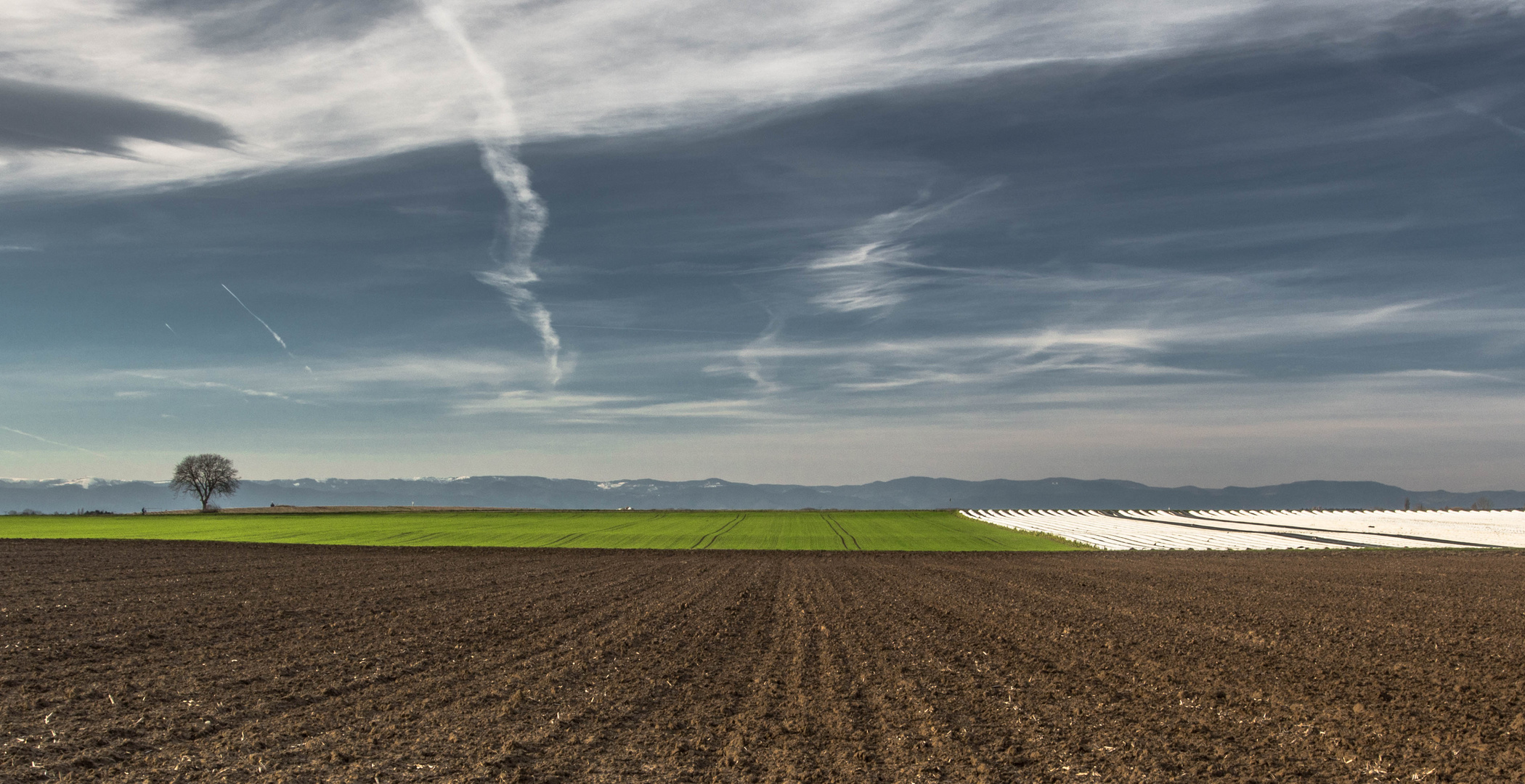 Landschaft im Februar