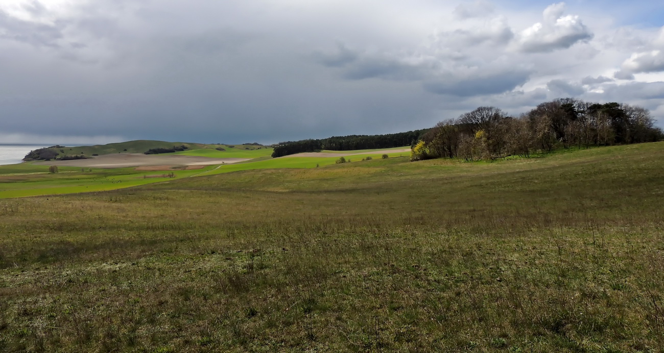 Landschaft im Februar 2020