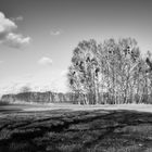 Landschaft im Februar I