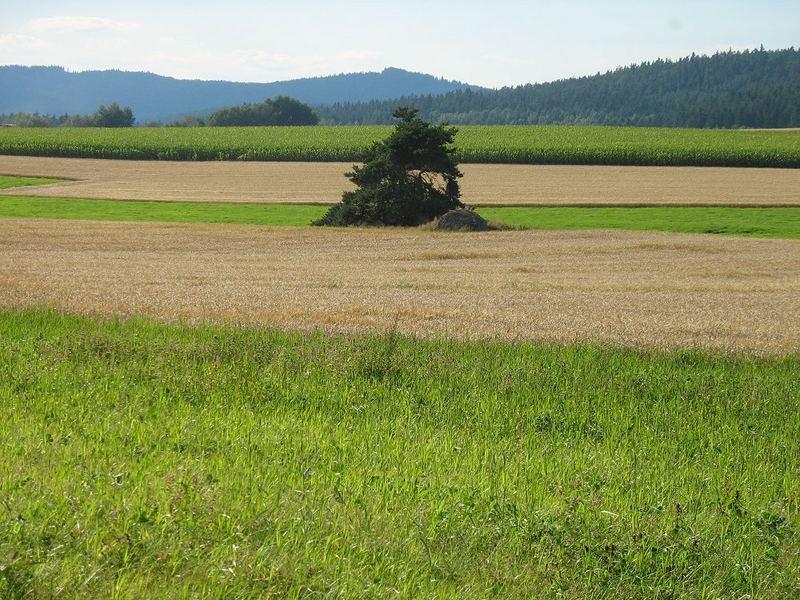 Landschaft im Fichtelgebirge