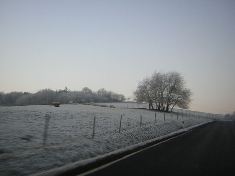 Landschaft im Frost